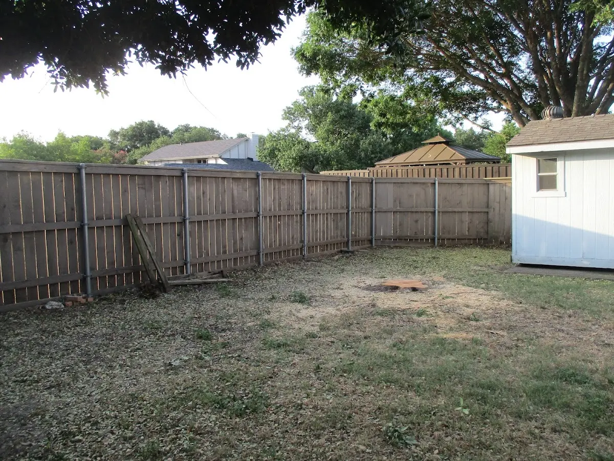 Cleared yard after professional tree removal in Neosho